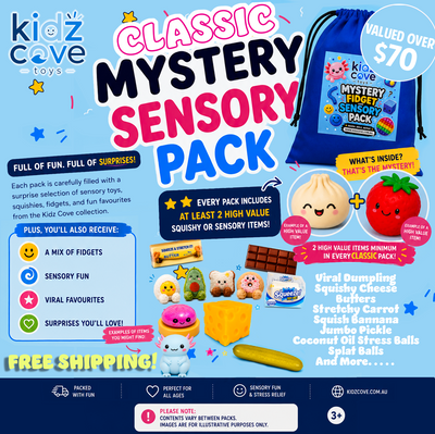 CLASSIC SENSORY AND FIDGET MYSTERY PACK