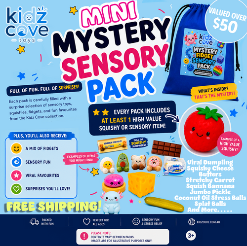 MINI MYSTERY SENSORY & FIDGET PACK