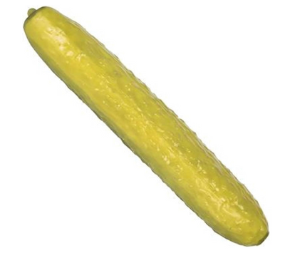 Jumbo Pickle Squishy