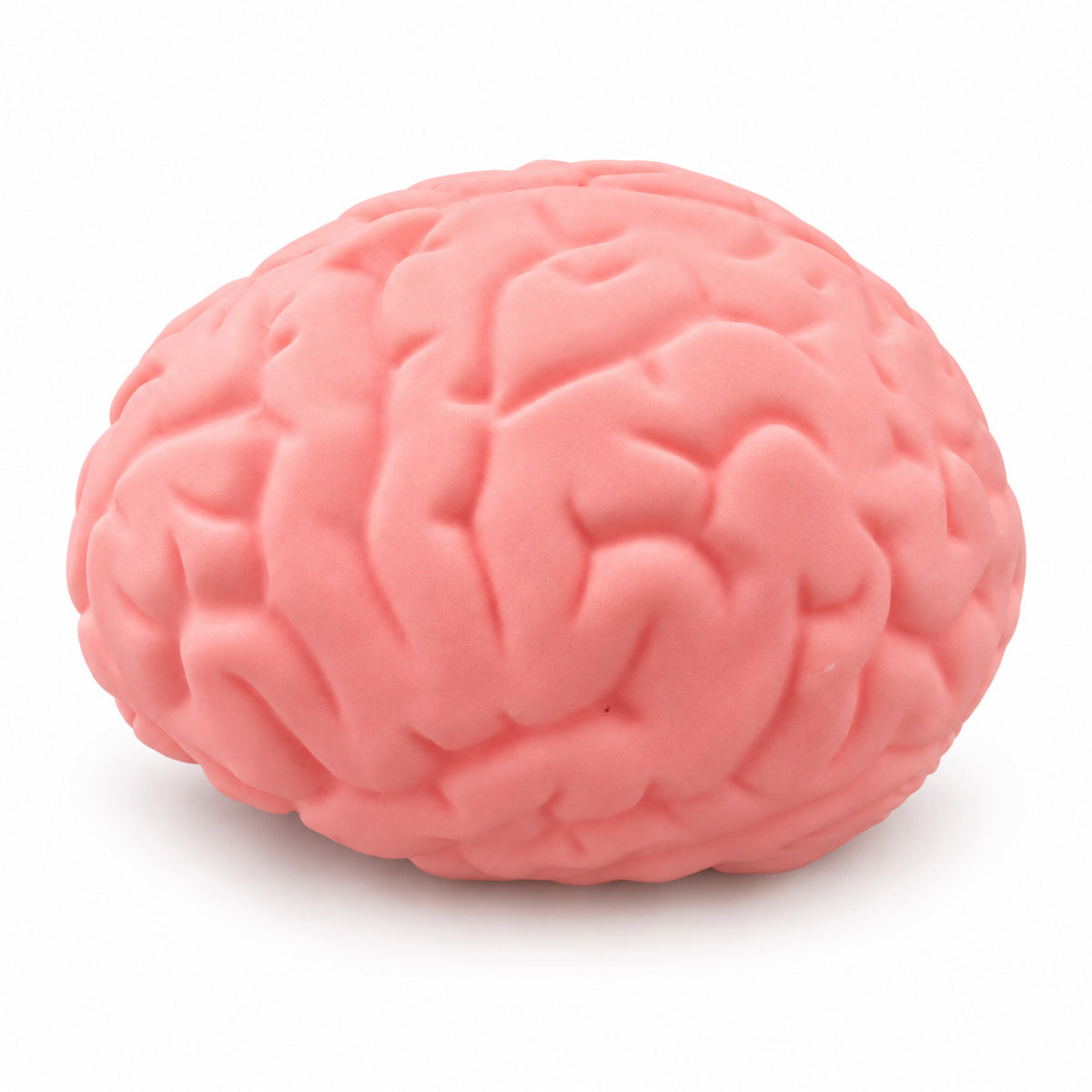 Jumbo brain Easy Sqweezy squishy
